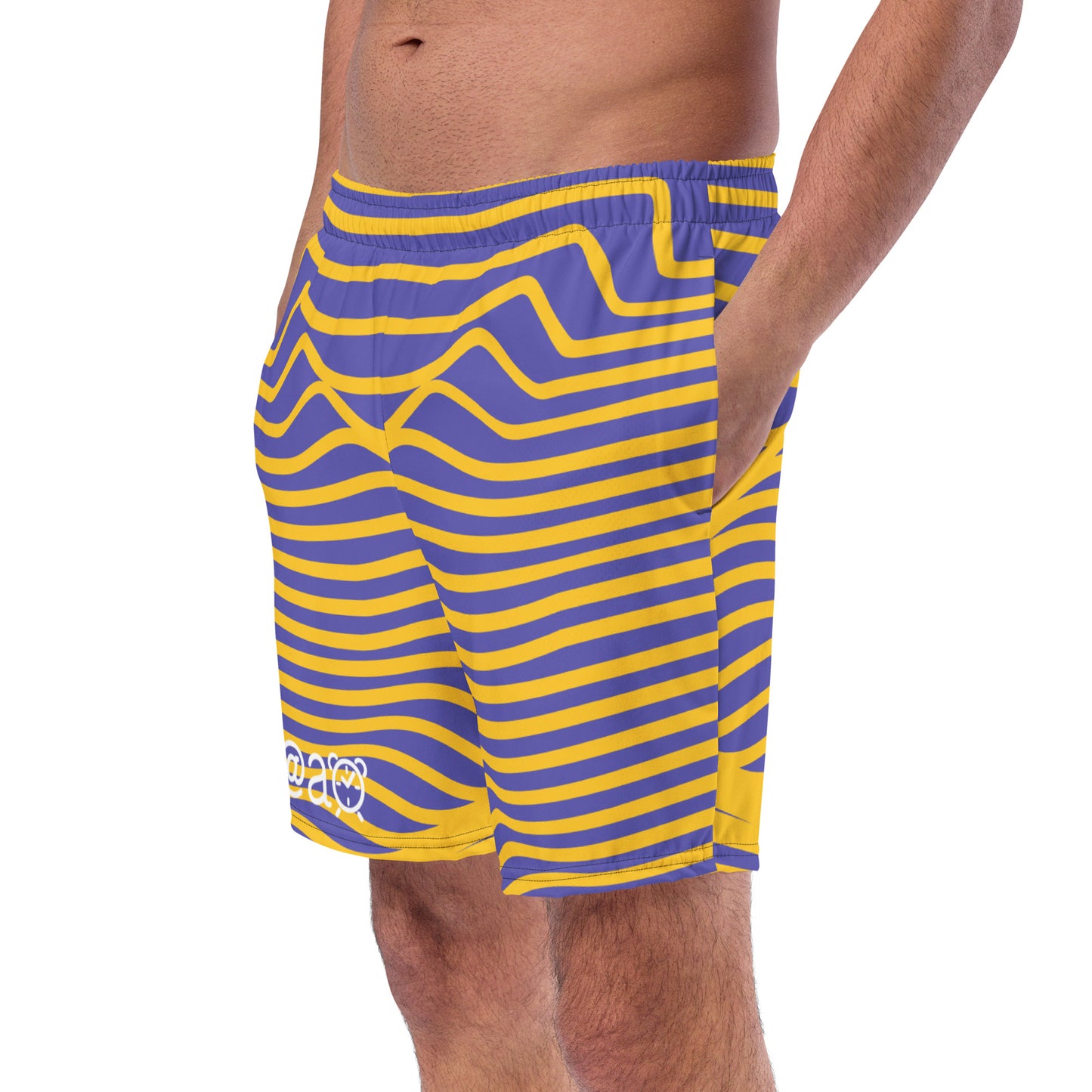 Men's swim trunks "Twilight Sswell"