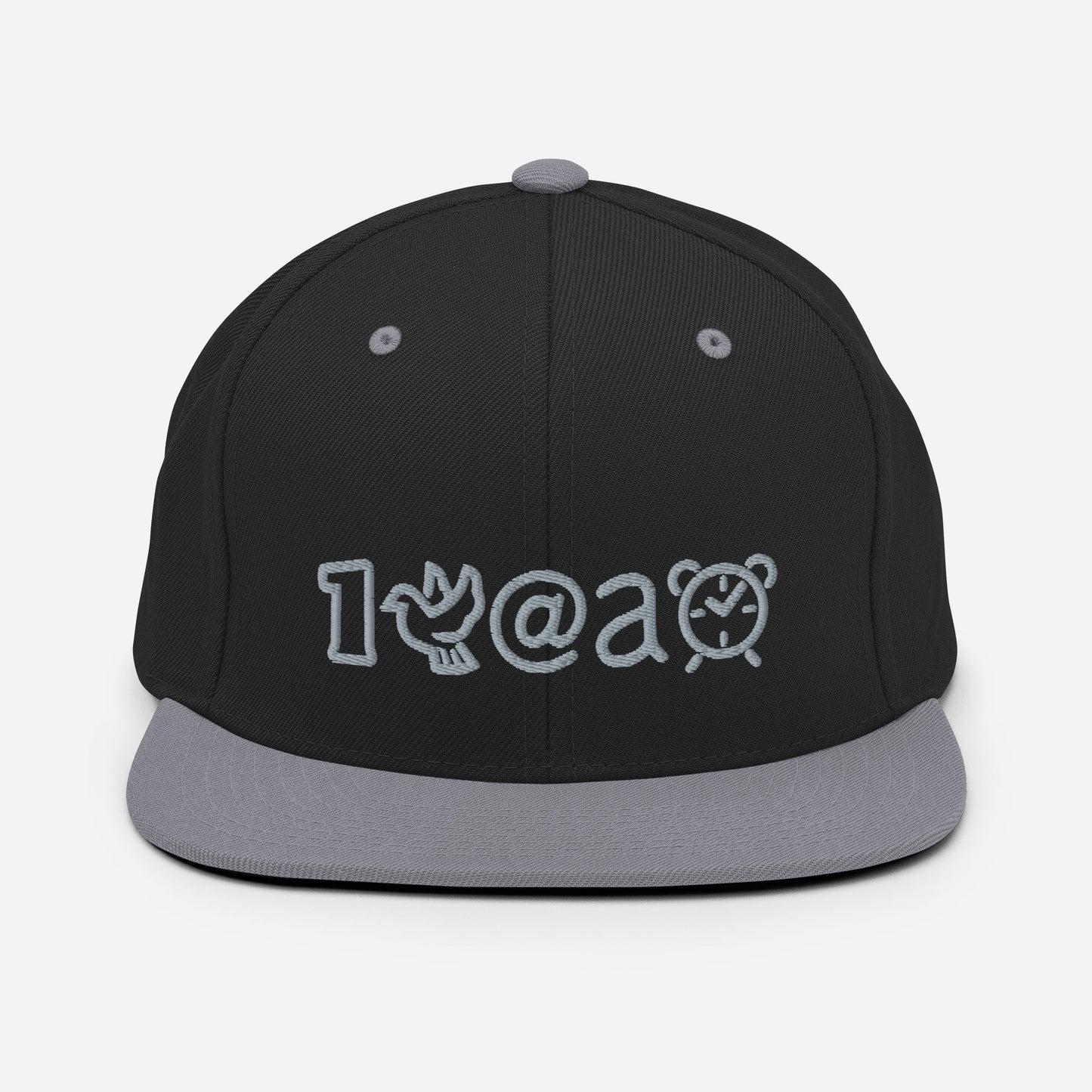 Snapback Hat