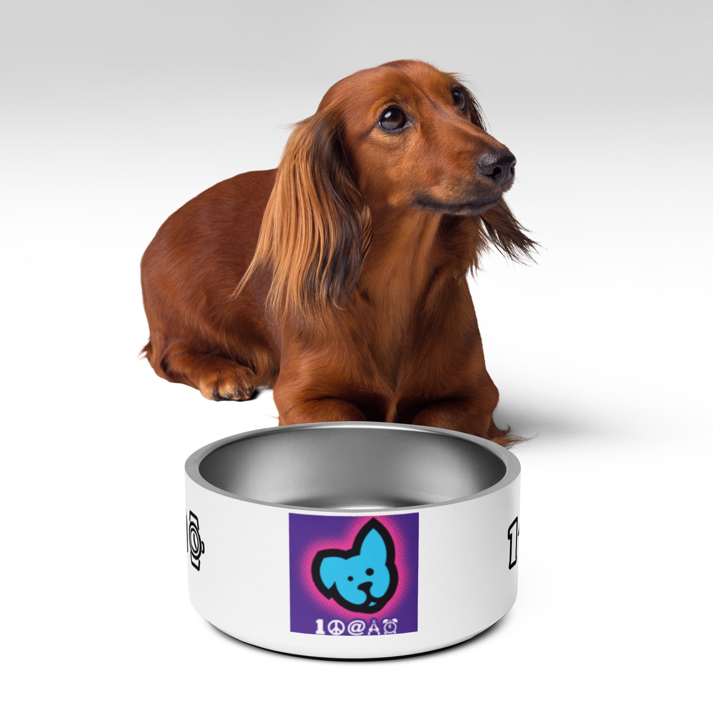 Pet bowl