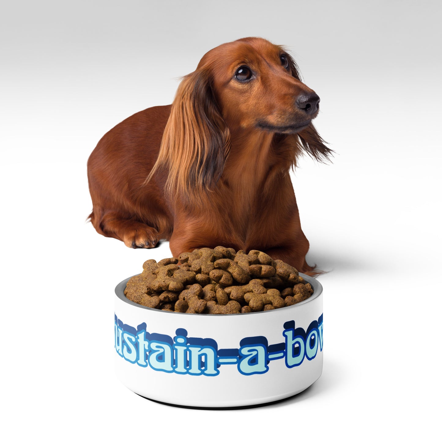 Pet bowl Sustain-a-bowl